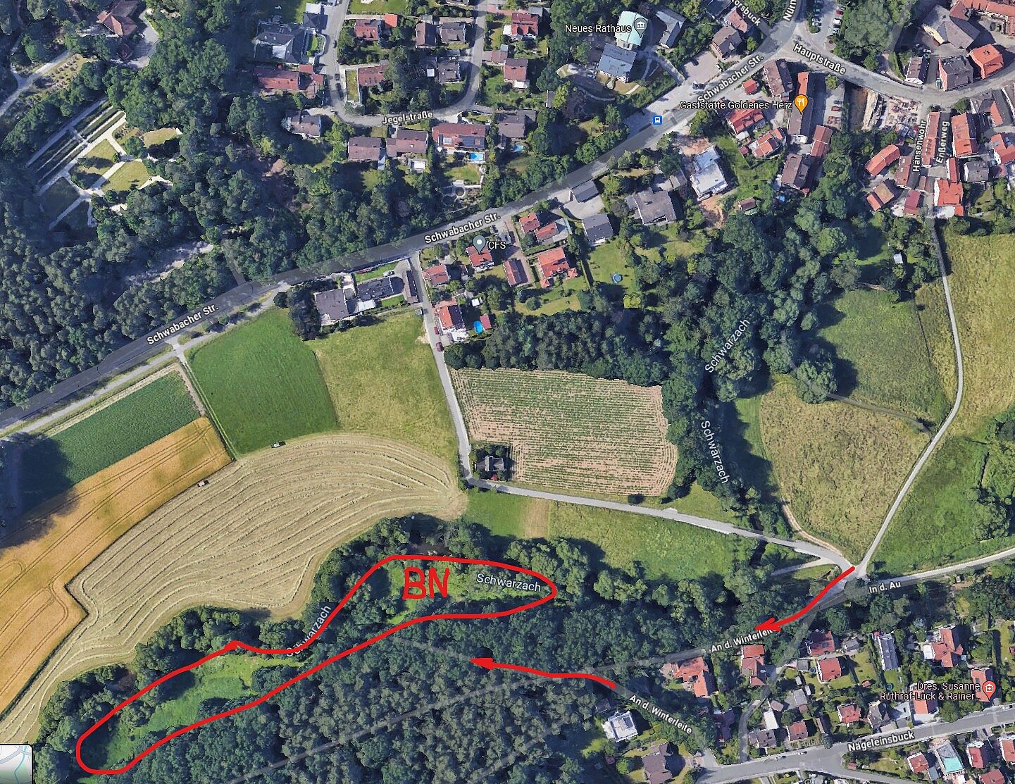 Weg zur BN Wiese