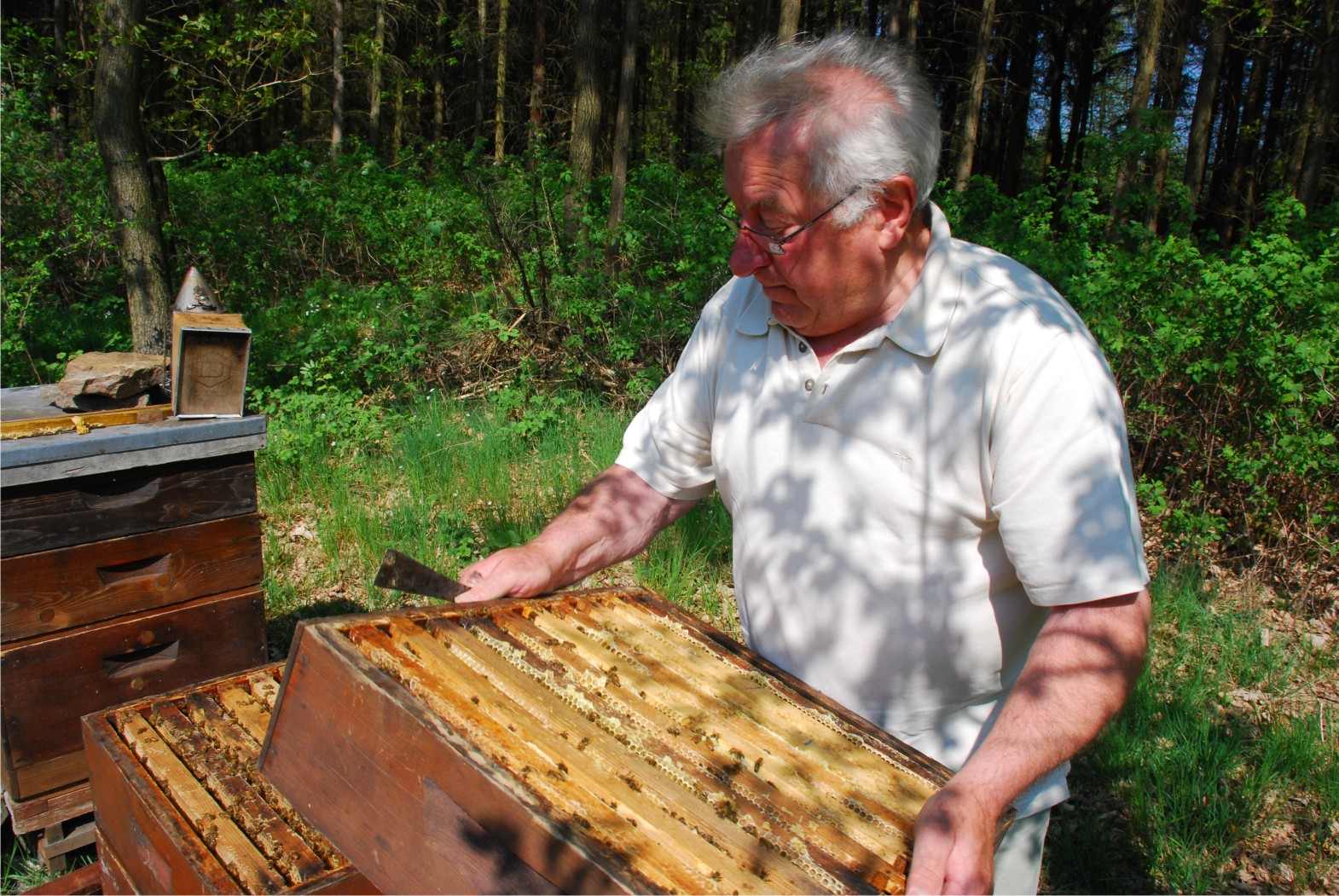 Tagder Artenvielfalt4